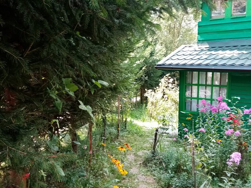 Valea Doftanei Tesila, Negrasi,